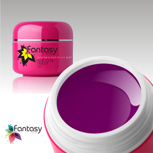 Ráj nehtů Fantasy line Barevný UV gel Fantasy Neon 5g - Violet